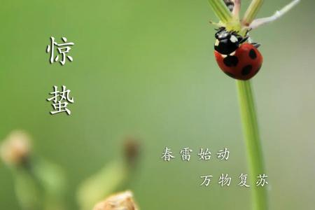 微信图片_20210305101323.jpg